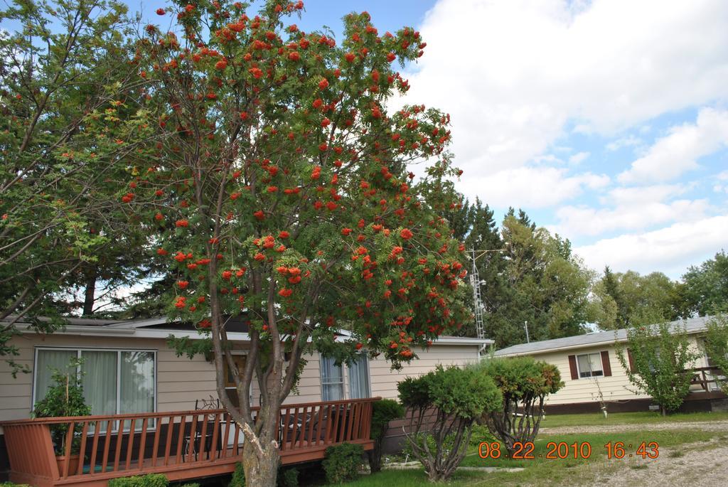 Neepawa Motel Ngoại thất bức ảnh